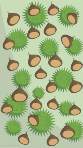 Castañas 1080x1920