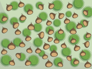Castañas 1280x960