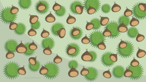 Castañas 1920x1080