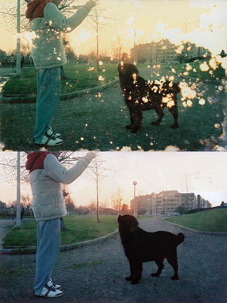 Restauración de fotografía con mascota